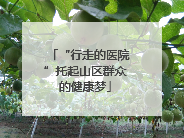 “行走的医院”托起山区群众的健康梦