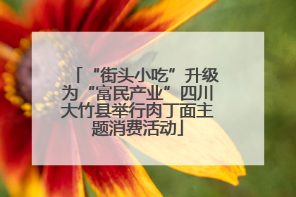 “街头小吃”升级为“富民产业”四川大竹县举行肉丁面主题消费活动