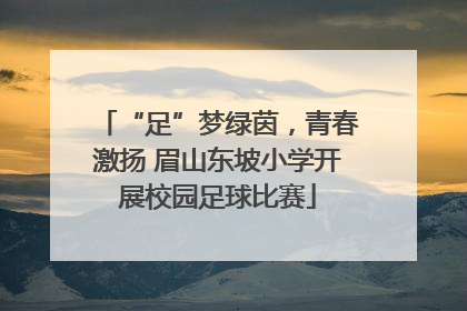 “足”梦绿茵，青春激扬 眉山东坡小学开展校园足球比赛