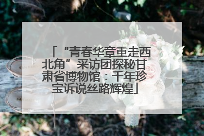 “青春华章重走西北角”采访团探秘甘肃省博物馆：千年珍宝诉说丝路辉煌