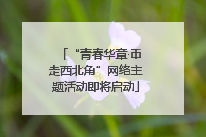 “青春华章·重走西北角”网络主题活动即将启动