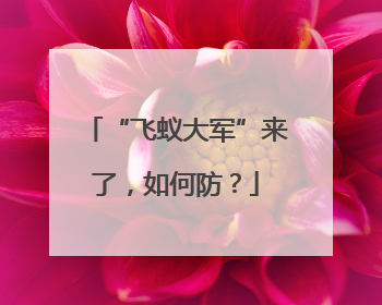 “飞蚁大军”来了，如何防？