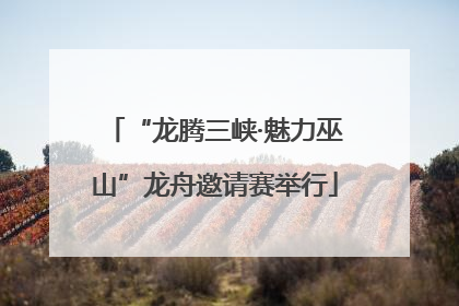 “龙腾三峡·魅力巫山”龙舟邀请赛举行