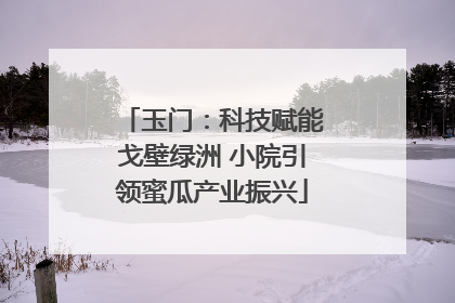 玉门：科技赋能戈壁绿洲 小院引领蜜瓜产业振兴