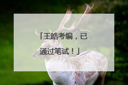 王皓考编，已通过笔试！