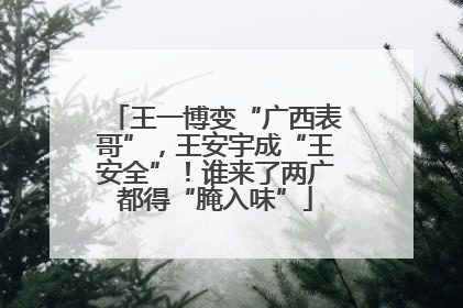 王一博变“广西表哥”，王安宇成“王安全”！谁来了两广都得“腌入味”