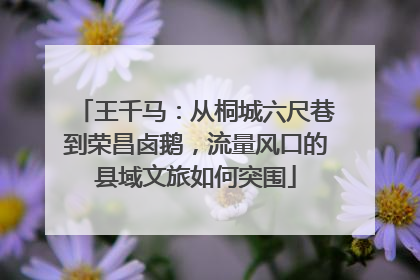 王千马：从桐城六尺巷到荣昌卤鹅，流量风口的县域文旅如何突围
