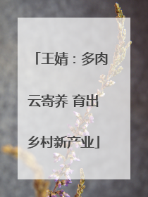 王婧：多肉云寄养 育出乡村新产业