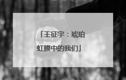 王征宇：琥珀虹膜中的我们