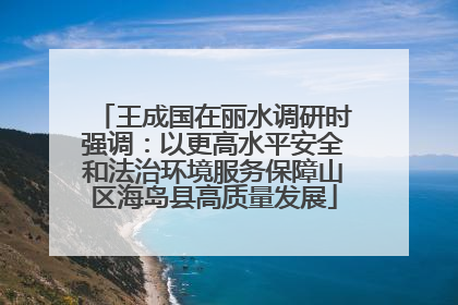 王成国在丽水调研时强调：以更高水平安全和法治环境服务保障山区海岛县高质量发展