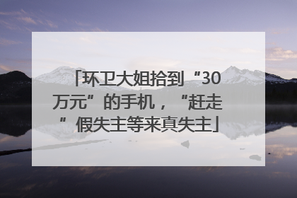 环卫大姐拾到“30万元”的手机，“赶走”假失主等来真失主