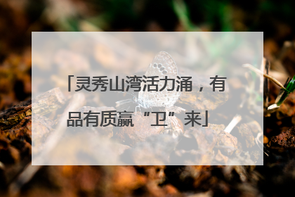 灵秀山湾活力涌，有品有质赢“卫”来