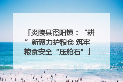 炎陵县霞阳镇：“耕”新聚力护粮仓 筑牢粮食安全“压舱石”