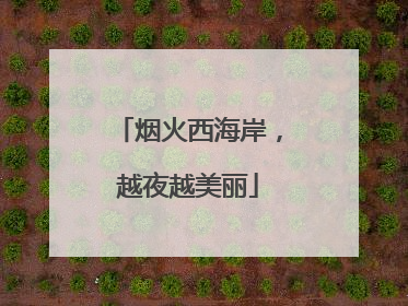 烟火西海岸，越夜越美丽