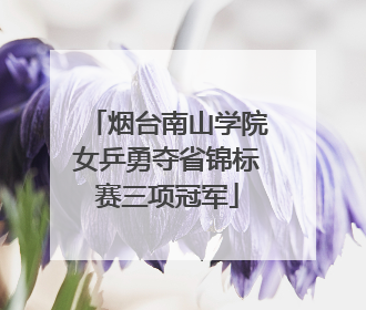烟台南山学院女乒勇夺省锦标赛三项冠军