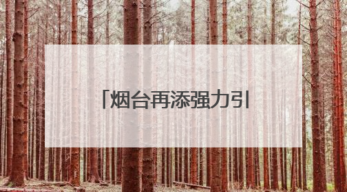 烟台再添强力引擎！助力“中国制造”破浪出海
