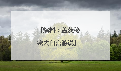 爆料：盖茨秘密去白宫游说