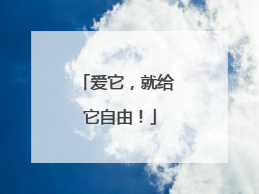 爱它，就给它自由！