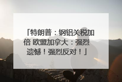 特朗普：钢铝关税加倍 欧盟加拿大：强烈遗憾！强烈反对！