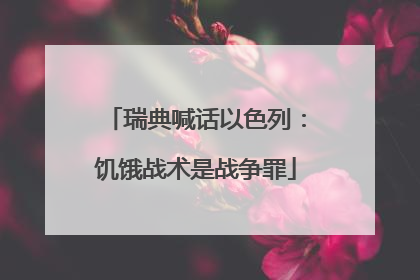 瑞典喊话以色列：饥饿战术是战争罪