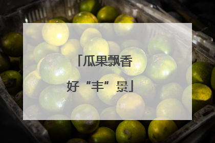 瓜果飘香 好“丰”景