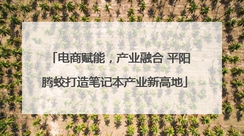 电商赋能，产业融合 平阳腾蛟打造笔记本产业新高地