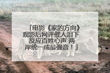 电影《家的方向》观影后网评催人泪下 反应百姓心声 两岸统一成最强音！