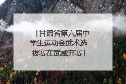甘肃省第六届中学生运动会武术选拔赛在武威开赛