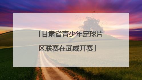 甘肃省青少年足球片区联赛在武威开赛