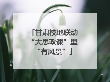 甘肃校地联动“大思政课”里“有风景”