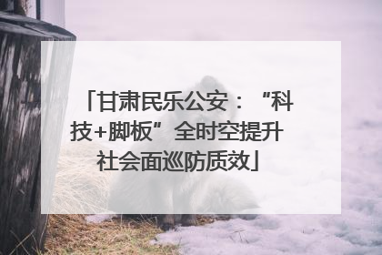 甘肃民乐公安：“科技+脚板”全时空提升社会面巡防质效