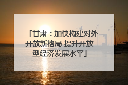 甘肃：加快构建对外开放新格局 提升开放型经济发展水平