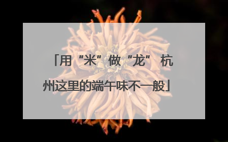 用“米”做“龙” 杭州这里的端午味不一般