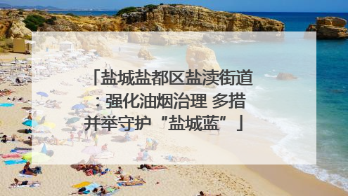 盐城盐都区盐渎街道：强化油烟治理 多措并举守护“盐城蓝”