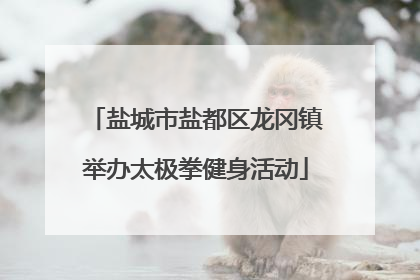 盐城市盐都区龙冈镇举办太极拳健身活动