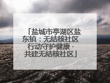盐城市亭湖区盐东镇：无结核社区行动守护健康 ·共建无结核社区