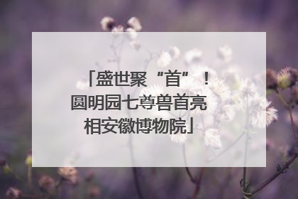 盛世聚“首”！圆明园七尊兽首亮相安徽博物院