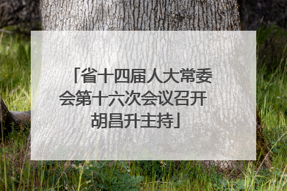 省十四届人大常委会第十六次会议召开 胡昌升主持