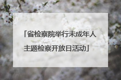 省检察院举行未成年人主题检察开放日活动