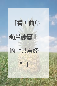 看！曲阜葫芦藤蔓上的“共富经”