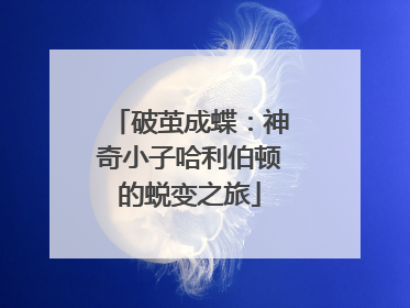 破茧成蝶：神奇小子哈利伯顿的蜕变之旅