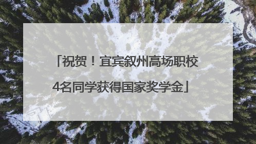 祝贺！宜宾叙州高场职校4名同学获得国家奖学金
