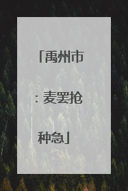 禹州市：麦罢抢种急