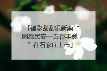 福彩刮刮乐新票“国泰民安—五谷丰登”在石家庄上市