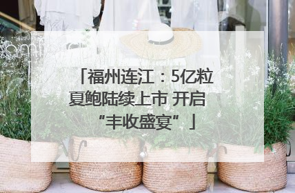 福州连江：5亿粒夏鲍陆续上市 开启“丰收盛宴”