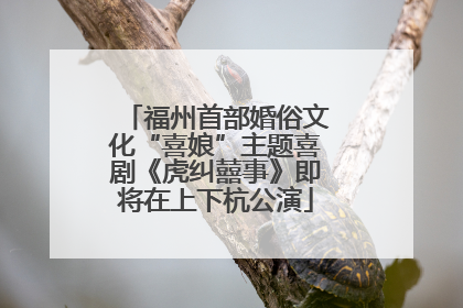 福州首部婚俗文化“喜娘”主题喜剧《虎纠囍事》即将在上下杭公演