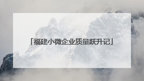 福建小微企业质量跃升记