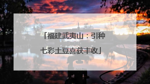 福建武夷山：引种七彩土豆喜获丰收