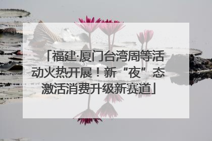 福建·厦门台湾周等活动火热开展！新“夜”态激活消费升级新赛道