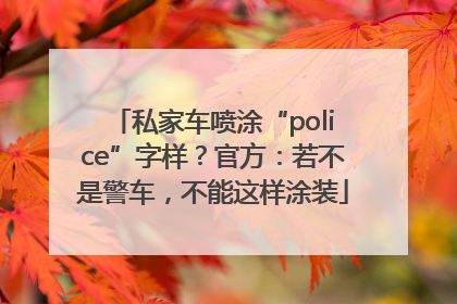 私家车喷涂“police”字样？官方：若不是警车，不能这样涂装